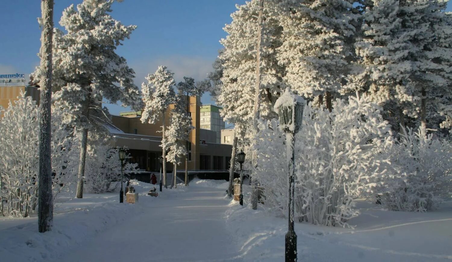 Когалым зимой. Костомукша зима. Нижневартовск зима. Когалым природа зимой.