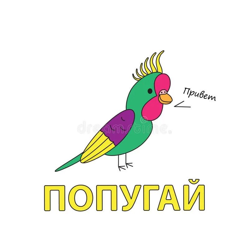 Попугай по английскому. Слово попугай. Слова на английском попугай. Карточка попугай для детей.