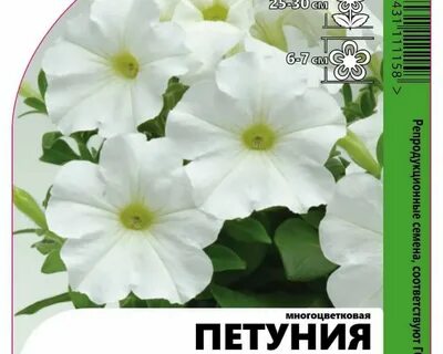 Семена оптом петуния профессиональные