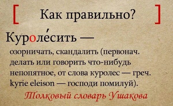 Куролесить это в словаре. Что означает слово куролесить. Куролесить значение слова в словаре. Что означает слово куролесить 1 класс. Словарь русского языка слово куролесить