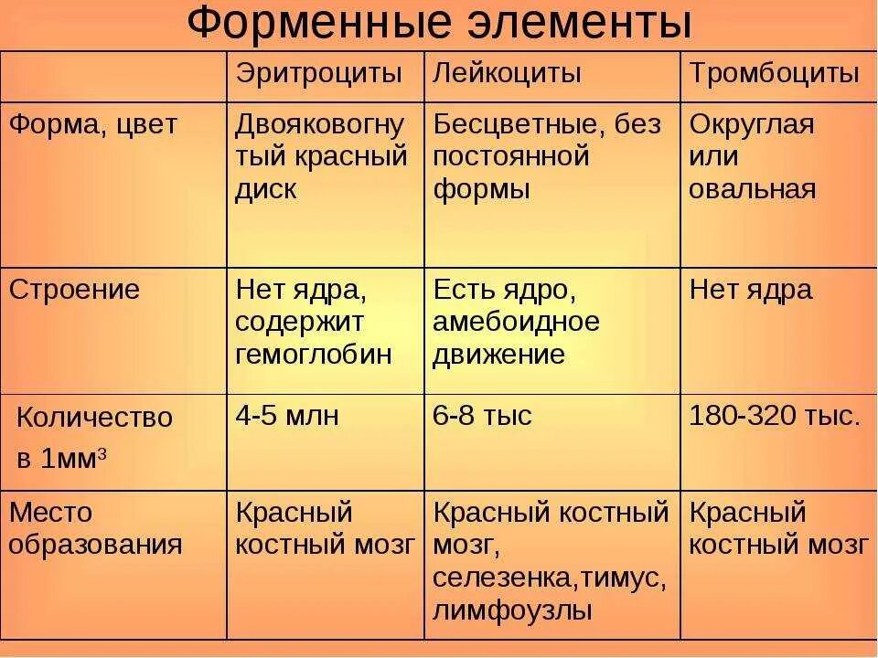 13 41 значение
