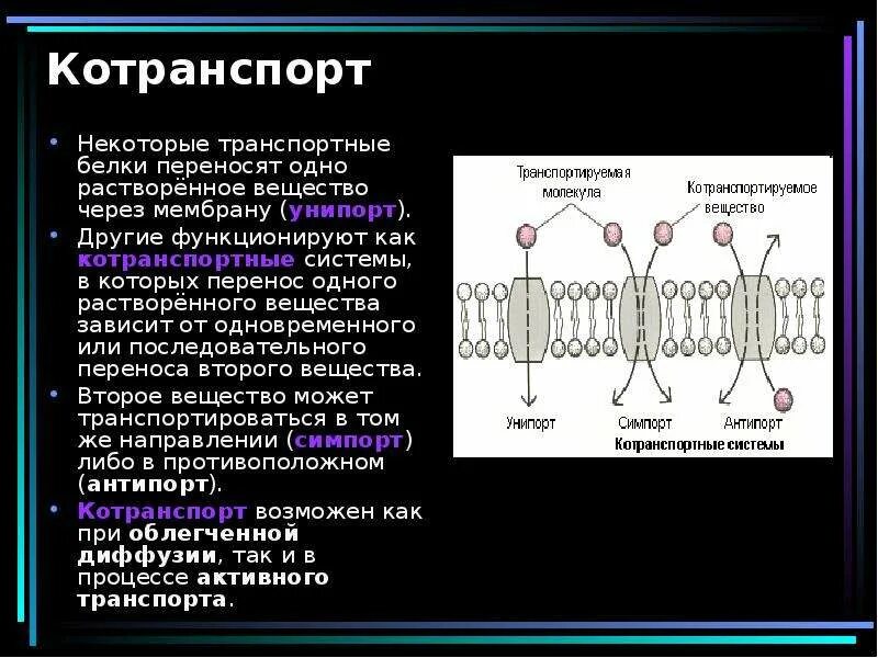 Белковый транспорт. Плазматическая мембрана транспорт. Транспортные белки через мембраны. Мембранные транспортные белки через мембрану. Виды транспортных белков.