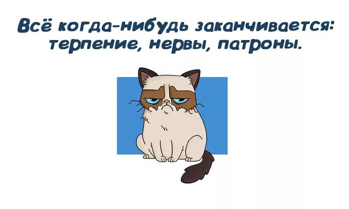 Нервы закончились. Все когда нибудь заканчивается. Нервный кот. Крепких нервов и терпения.