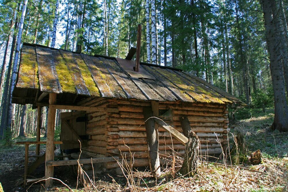 Избушка в тайге. Охотничья изба в горном алтае. таежная избушка в лесу в миассе. таежные избушки в тайге. таежные избы в тайге.