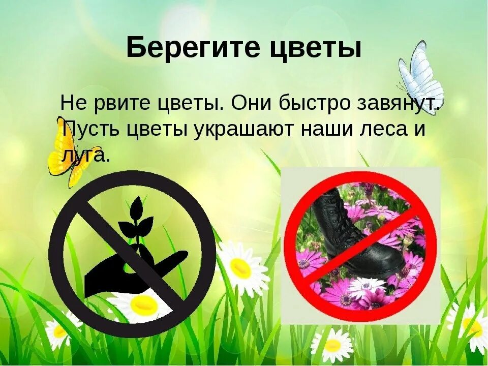 Берегите природу. Берегите растения. Природоохранные знаки. Нельзя рвать цветы.