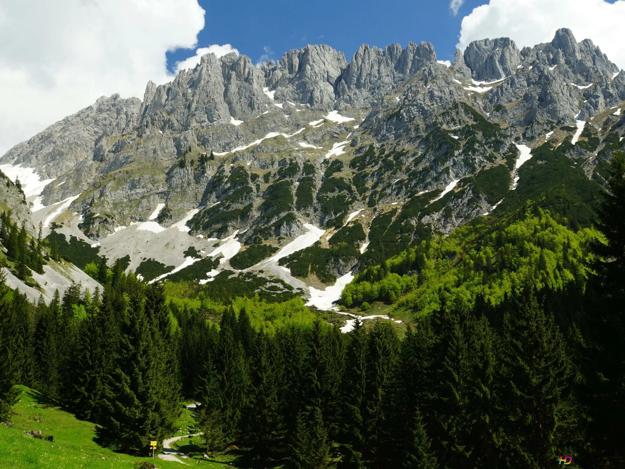 Цветы в горах. Зеленые альпы. Альпы италия южный тироль. Горы hd. Горные вершины альпы.