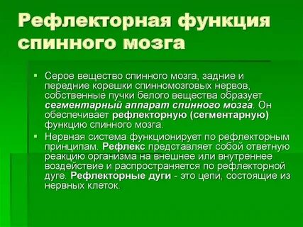Функция серого вещества рефлекторная