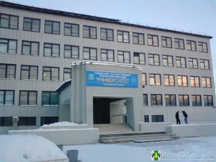 Пту 14 лесосибирск