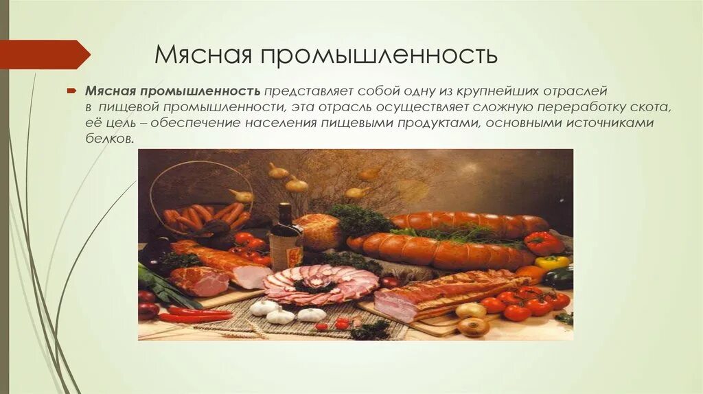 Список пищевой промышленности. Мясная промышленность. Мясная промышленность презентация. Отрасли мясной промышленности. Мясоперерабатывающая отрасль продукция.