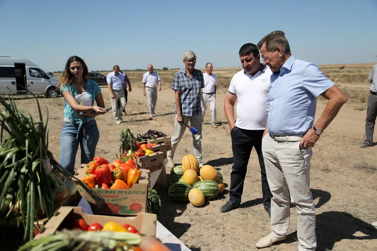 Погода лиман ставропольский край. Администрация Астраханской области Ушаковка Черноярский район. Лиман Астраханская область. Поды село Черноярский район.