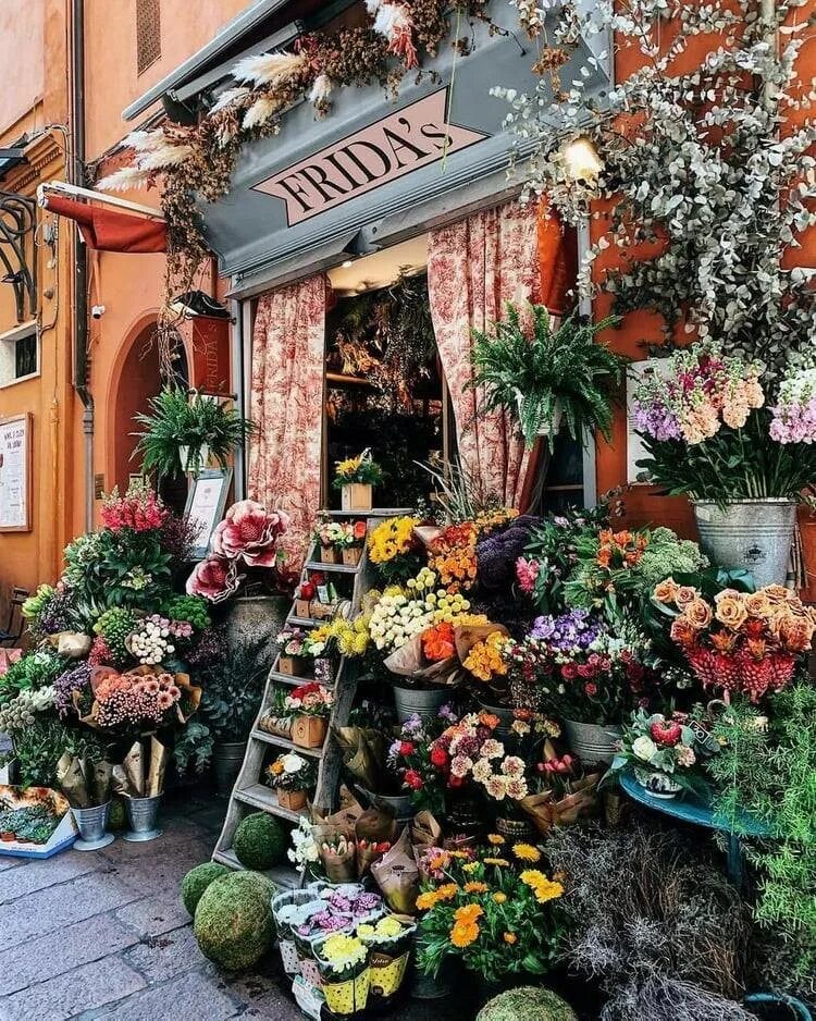Цветочный магазин экзотические цветы. Цветочный магазин. Цветочный магазин в Европе. Самые красивые магазины цветов. Французские магазины цветов.