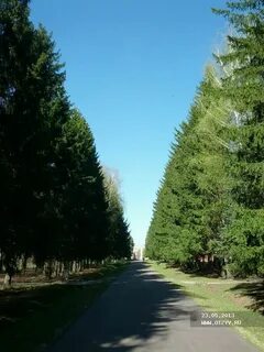 Ерино московская область
