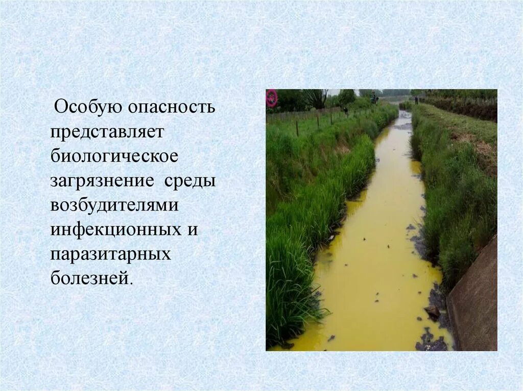 Особую опасность для окружающей среды представляет загрязнение. Биологическое загрязнение. биологическое загрязнение окружающей среды. бактериальное и биологическое загрязнение. биологическое загрязнение среды.