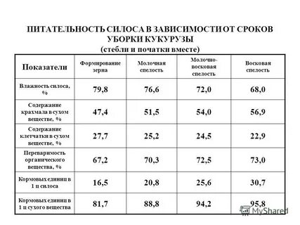 Какая влажность кукурузы