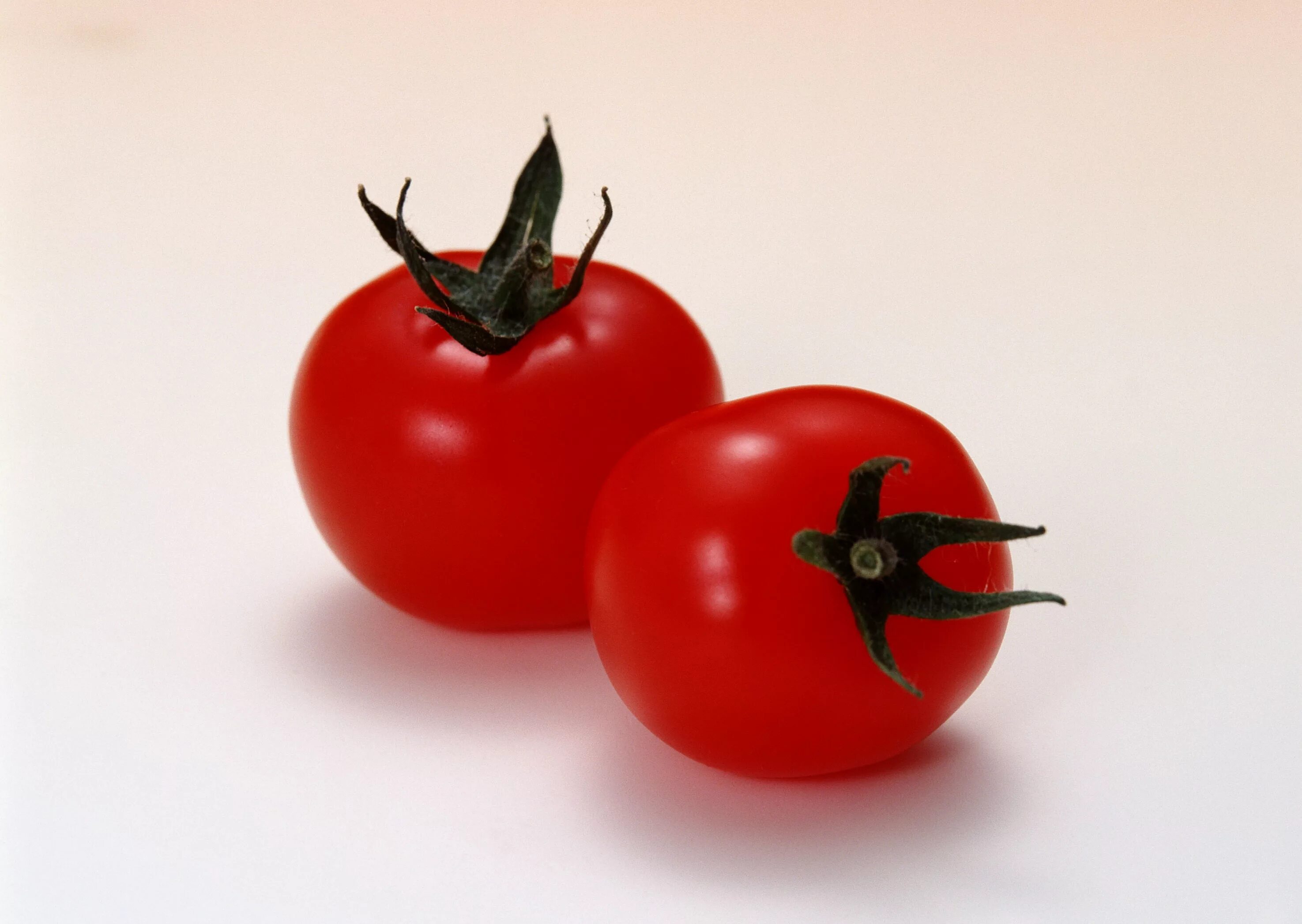 Two tomatoes. Два томата. Двойной помидор. Двойная помидорина. Помидоры 2 штуки.