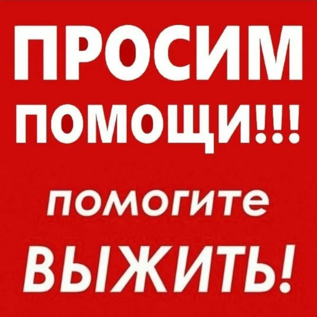нужна помощь. нужна ваша помощь. очень нужна помощь. срочно требуется помощь. нужна помощь.