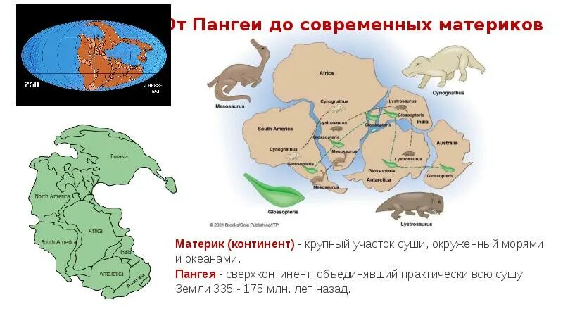 Древние материки Пангея. Суперконтинент Пангея карта. Пангея материк карта. Материк до раскола.