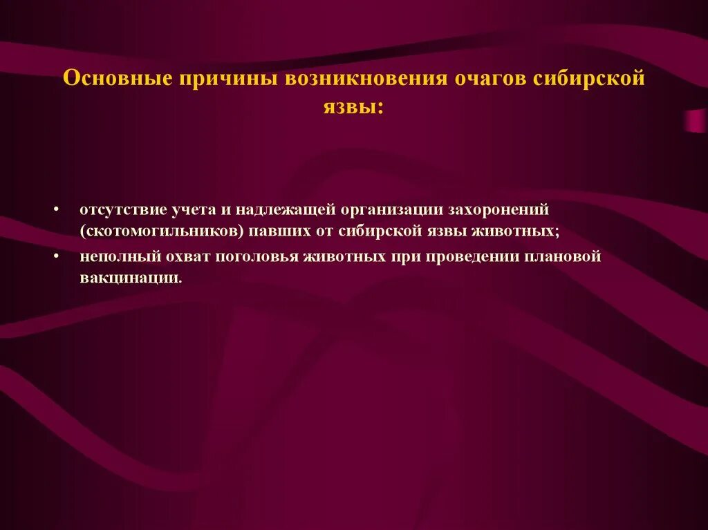 В скотомогильниках бактерии очень опасного заболевания. Вызываемые заболевания Сибирская язва. Причины появления сибирской язвы. Сибирская язва у животных.