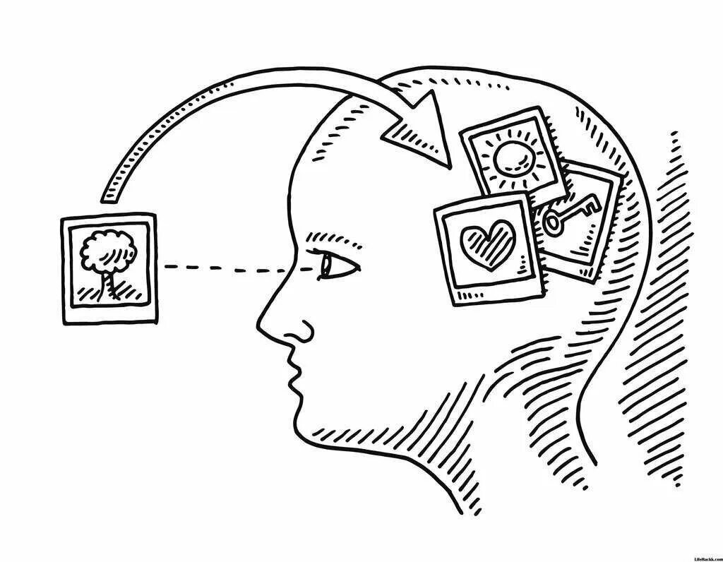 Восприятие сенсорной информации. Образная память. Зрительная образная память. Образное мышление. Психология рисунок.
