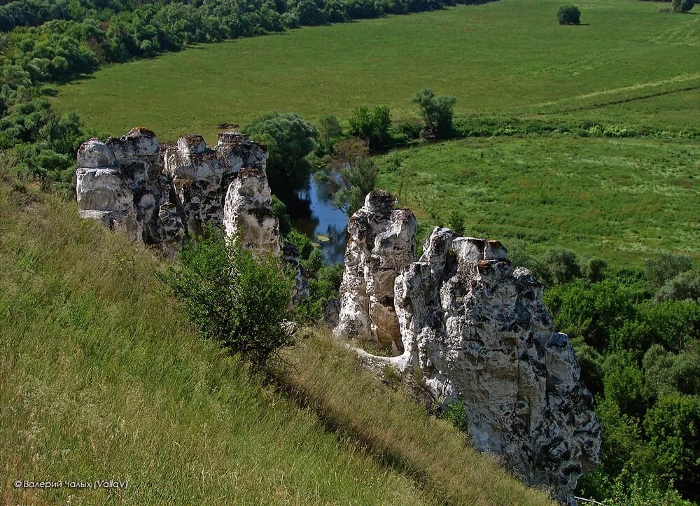 Среднерусская высота над уровнем моря. Меловые столбы Дивногорье. Дивногорье возвышенность. Среднерусская возвышенность Дивногорье. Дивногорье Белгородье Воронежская область.