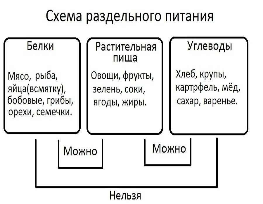 Герберт шелтон раздельное питание книга. Неумывакин схема раздельного питания. Раздельное питание что это такое простыми. Раздельное питание картинки. Раздельное питание что это такое простыми.