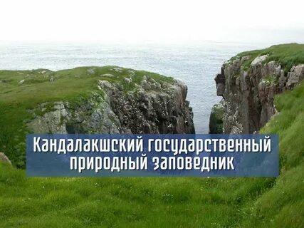 Баренцево море заповедники