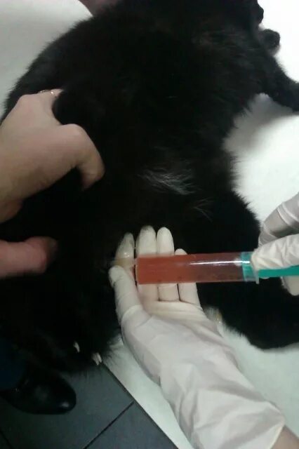 остается моча в пузыре. объем остаточной мочи. остается моча в пузыре. остается моча в пузыре.