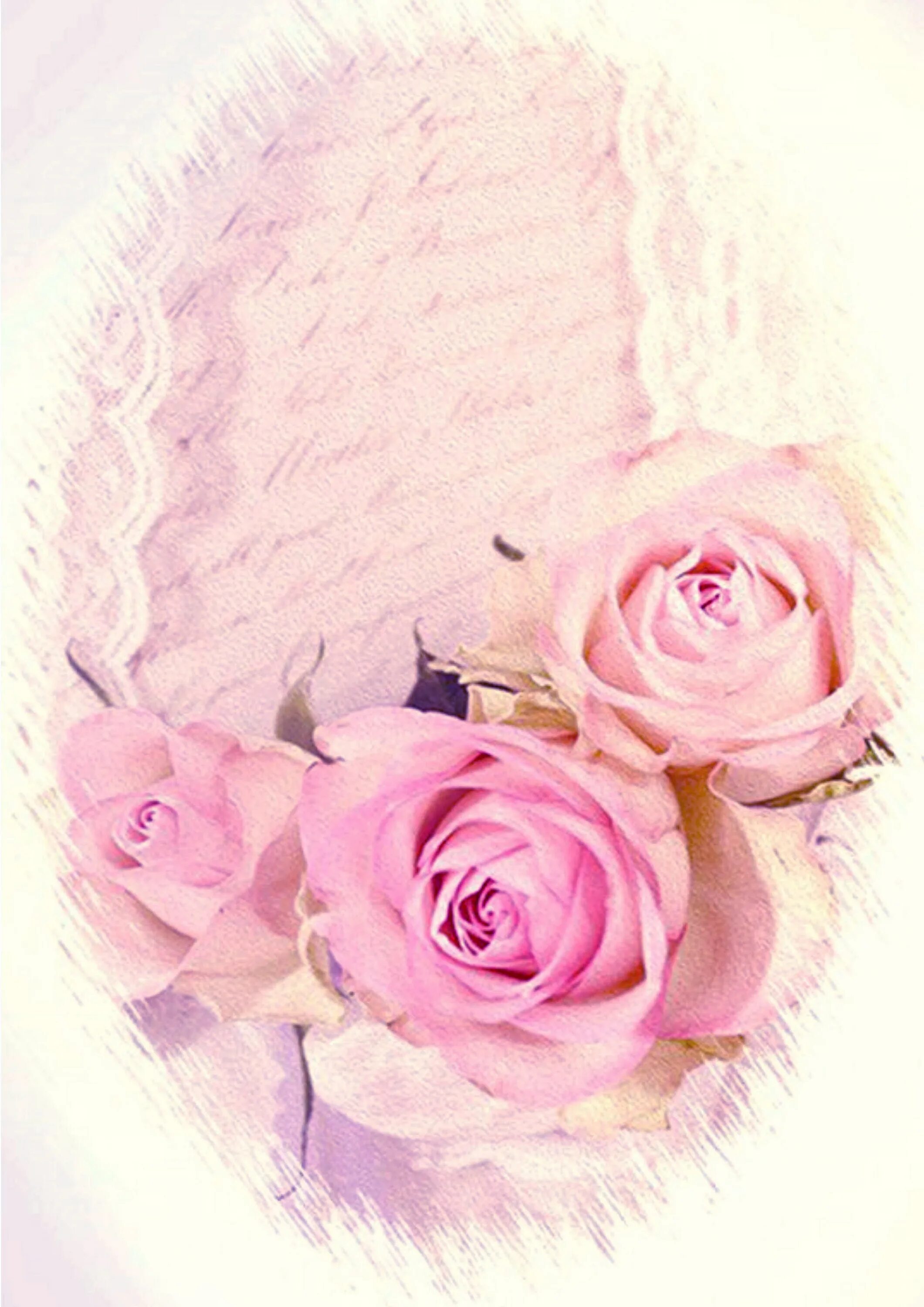 Фон розы нежные. Розовая открытка. Розовые розы фон.