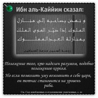 Сказал ибн