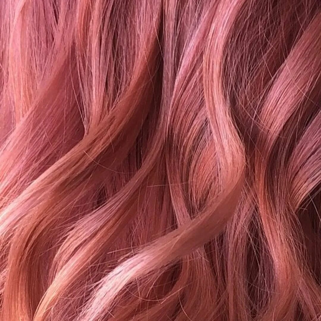 Розовое дерево волосы. Роуз Голд волосы. Роуз Голд цвет волос. Розовый цвет волос. Розовая краска для волос.