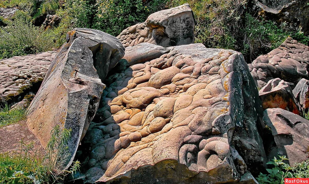 Камни Трованты. Растущие камни Трованты. Растущие камни в Румынии. Живой валун. Где живут камни
