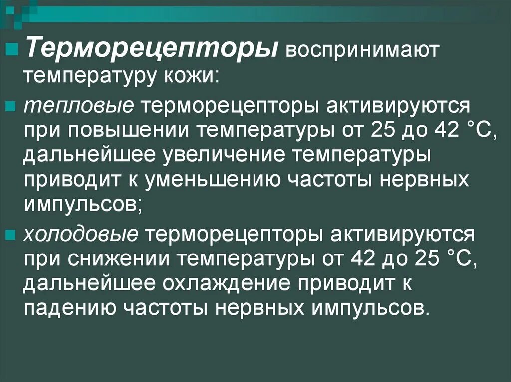 Терморецепторы. Терморецепторы физиология. Терморецепторы функции. Тепловые терморецепторы.