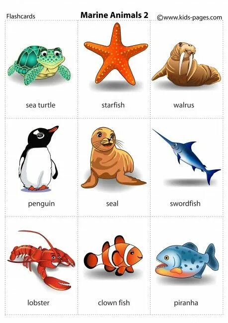 Sea animals задания для детей. Морские обитатели задания. Морской английский темы. Морские обитатели на английском. Морские обитатели задания для детей.