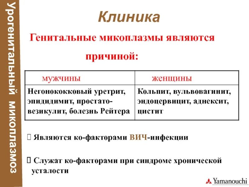 Урогенитальный микоплазмоз клиника. Симптомы микоплазмы у женщин.