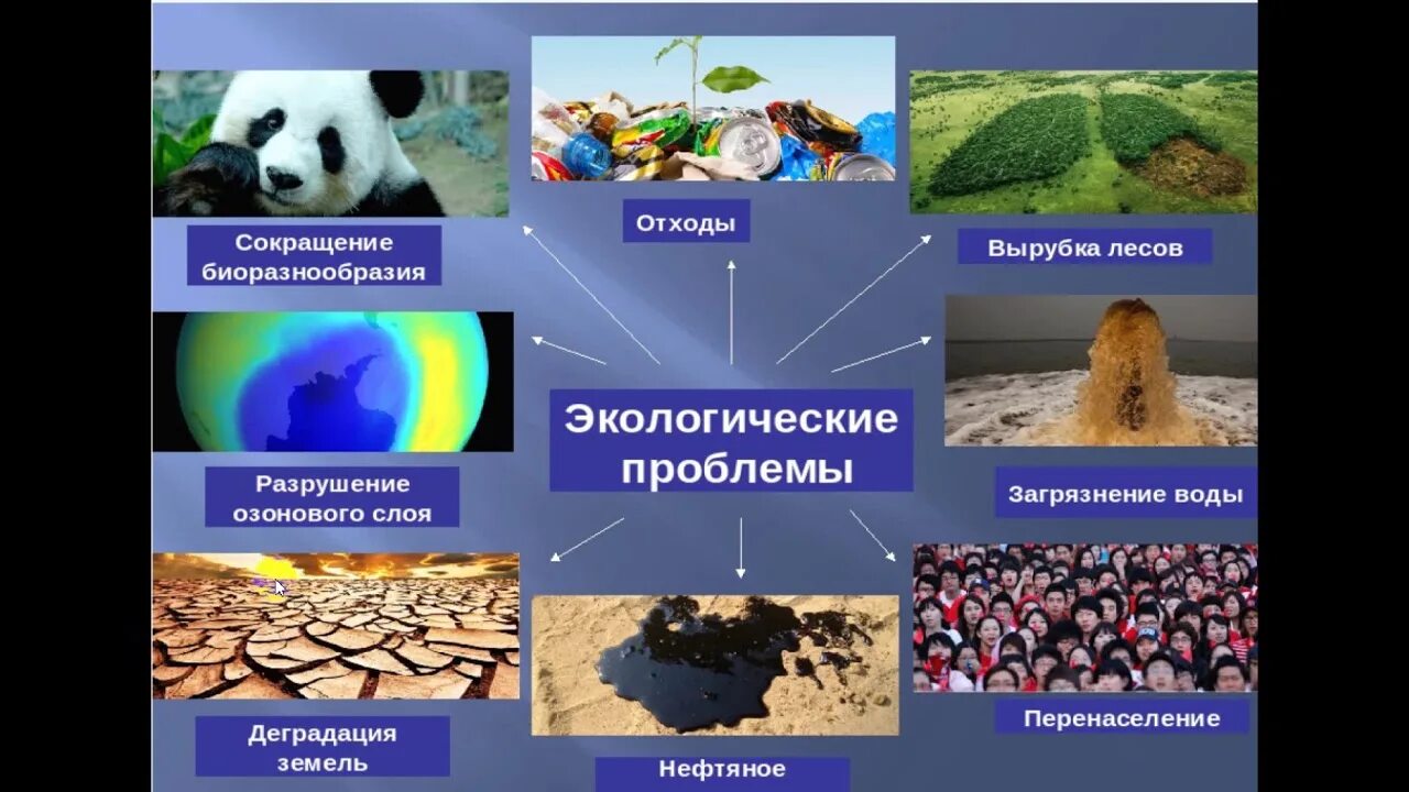 Проблема видового разнообразия. Проблема снижения видового разнообразия. Уменьшение биологического разнообразия. Проблема биологического разнообразия. Уменьшение биоразнообразия иллюстрация.