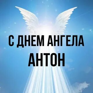 День антона