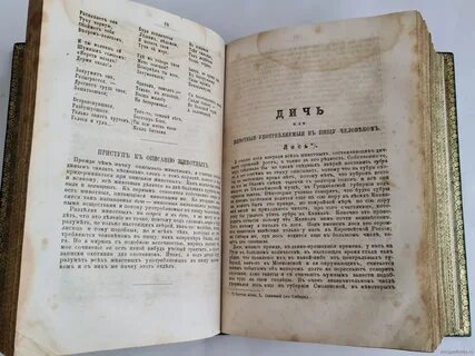 Первых ее видов как