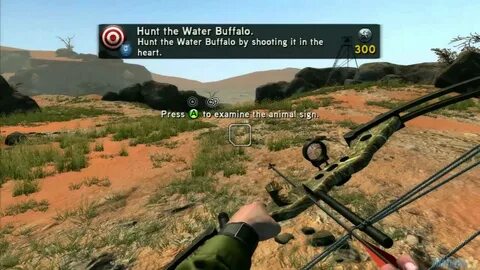 Video hunter