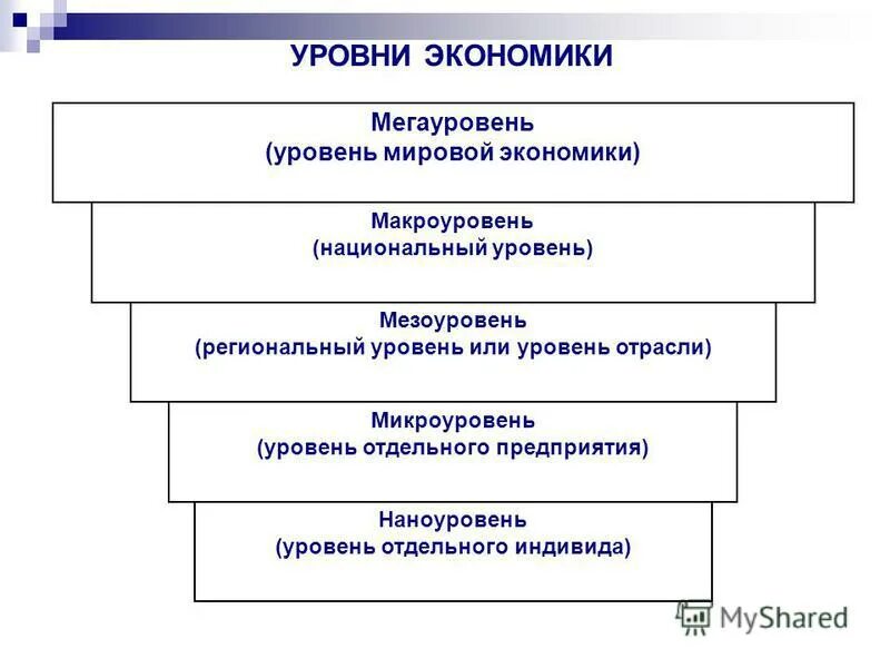 Мезо уровень. Мезоуровень макроуровень и микроуровень в экономике. Уровни экономики. Экономика уровни экономики. Микроуровень экономики.