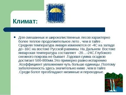 Смешанные леса климат январь июль