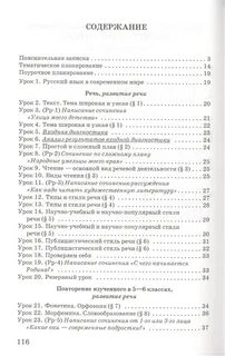 Поурочное планирование литература 9 класс