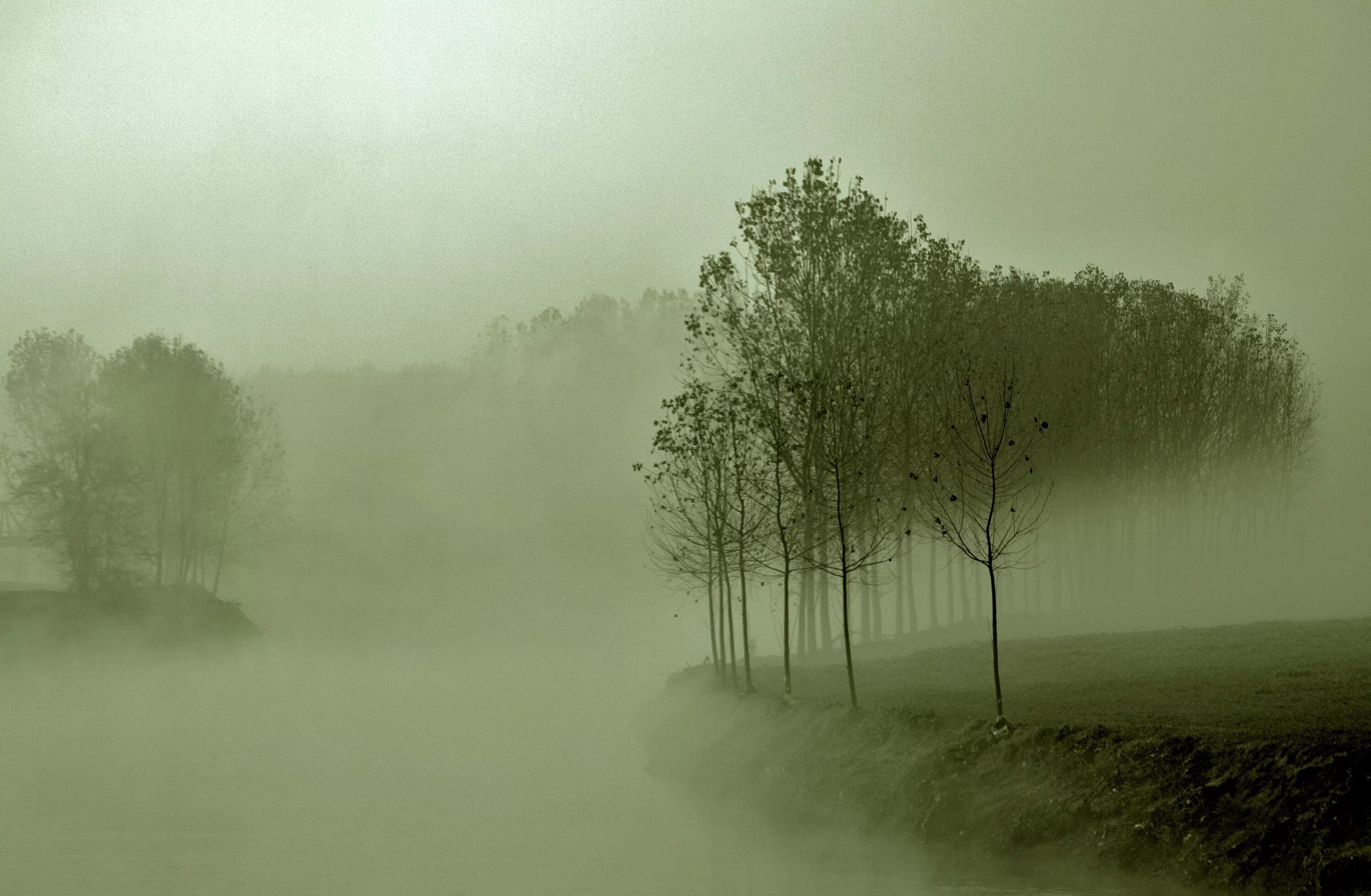 Туманный пейзаж. Туман на реке. Туман над озером. Туман над водой. Кончаться туман