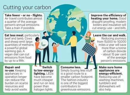 These are ways you can help fight climate change - Belfast NewsLetter.