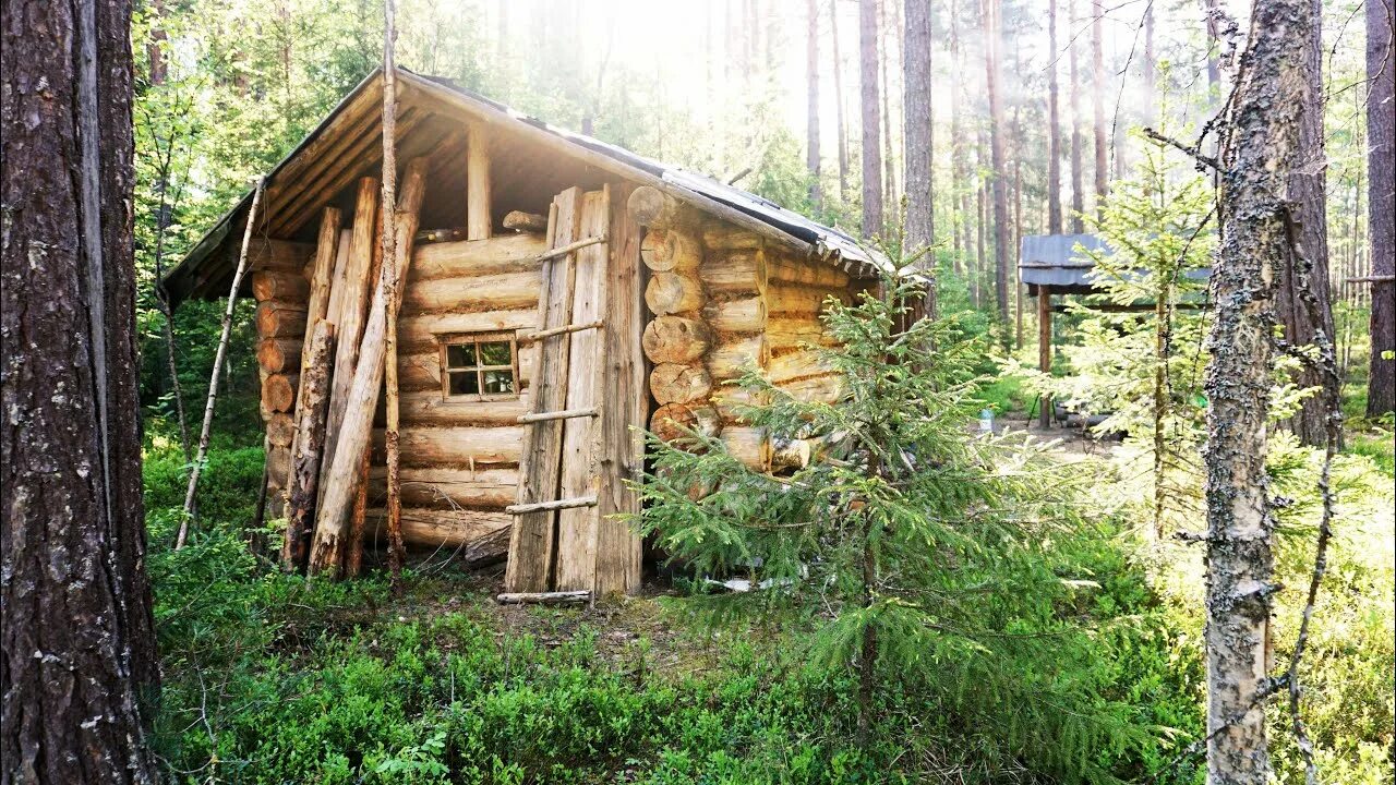 Охотничье зимовье. Изба в тайге. Охотничьи зимовья и избушки в тайге. Таежная глухомань.