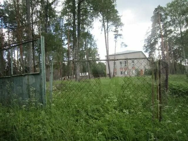 Детский санаторий ярославская область. Детский санаторий ярославская область. Детский санаторий итларь ярославская область. Сосновый бор санаторий ярославль. Детский санаторий ярославская область.