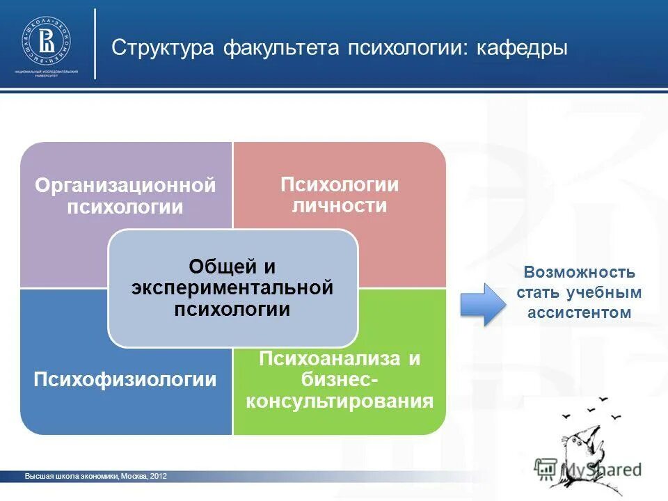 Вшэ пми москва. Таблица ниу вшэ факультеты. Ниу вшэ пермь. Вшэ программы обучения. Национальный исследовательский университет "высшая школа экономики".