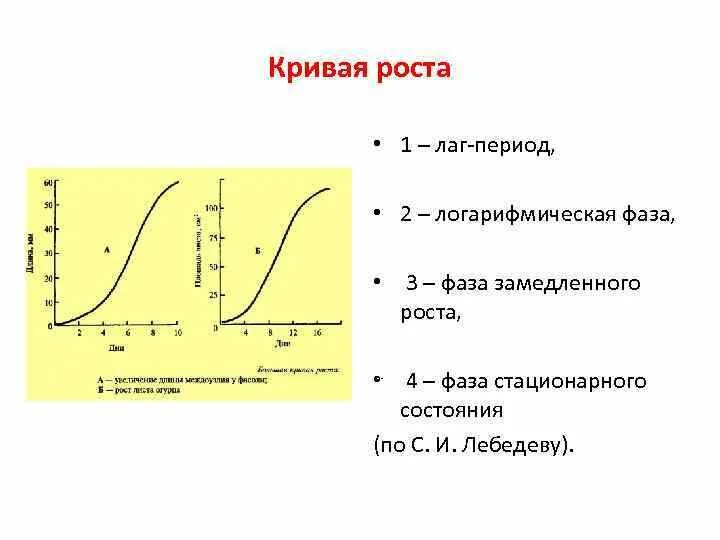 Лаг фаза фаза логарифмического роста. Лаг фаза экспоненциальная фаза. Экспоненциальная фаза роста микроорганизмов. Кривая роста. Линейный и экспоненциальный рост презентация