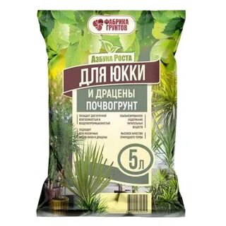 Почва для драцены