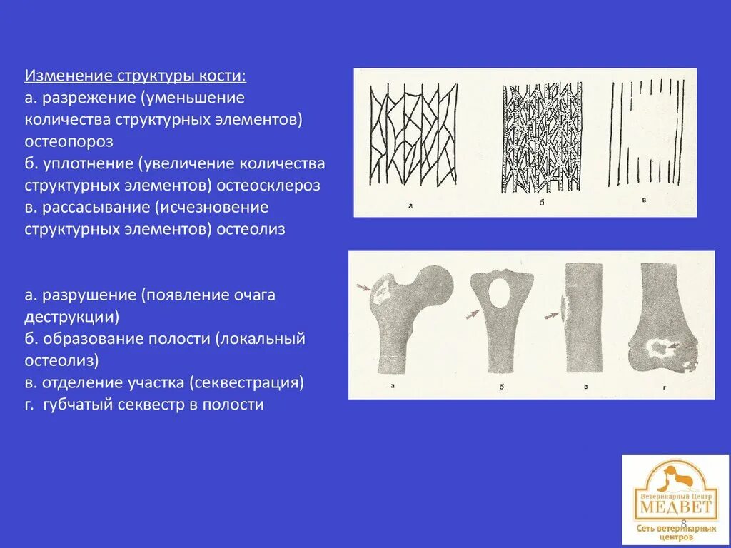 Структурные изменения ткани. Разрежение костной структуры рентген. Изменение структуры кости. Изменение костной структуры. Участки разрежения костной ткани.