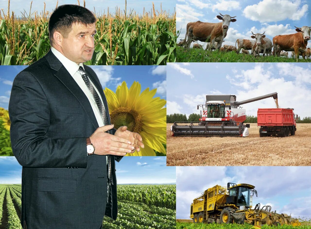 колхоз черняховского льговский. колхоз имени ленина 1959. льговский район. колхоз черняховского льговский. мичурина в тюменской области.